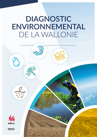 Diagnostic environnemental de la Wallonie