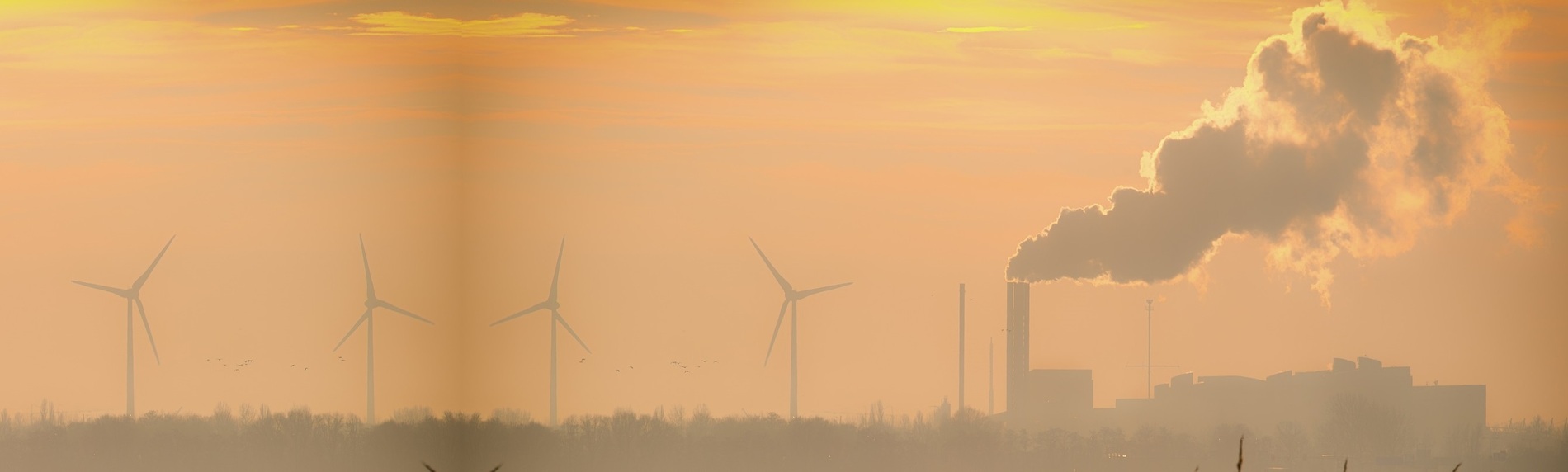 4800cedd-a200-4b6e-959e-a74a5ffa0f31