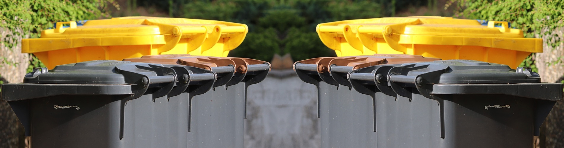 f52e8ec5-0f90-4232-9a15-ae4809fe9b4a