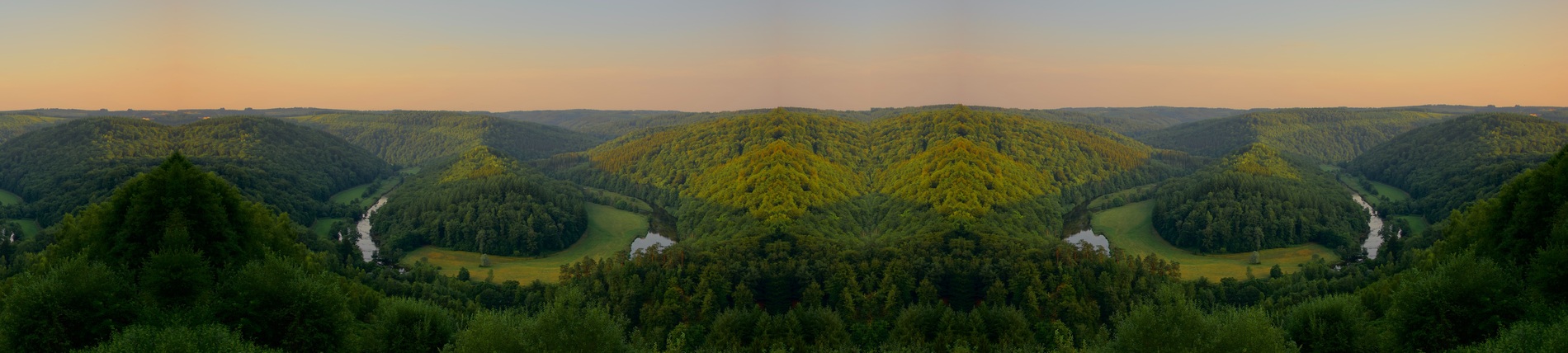 f9b15547-b88e-4e92-9313-99f795b01f9b